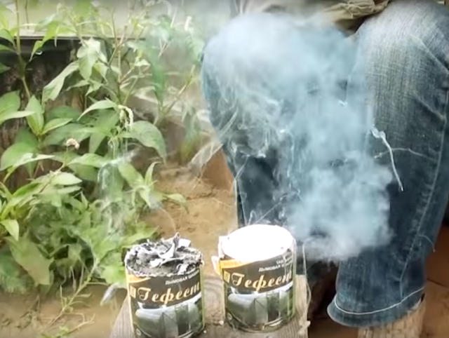 Табачные шашки (дымовые шашки) для теплицы из поликарбоната: как и когда использовать для обработки