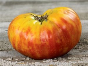 Tomato Village: описание, выращивание и отзывы