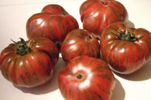 Шоколадно-полосатый помидор: отзывы и описание