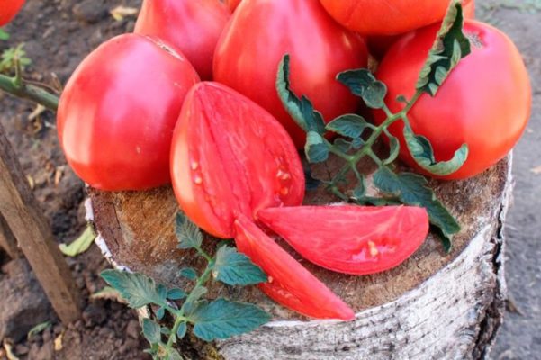 Воловье сердце помидор - сорт салата с красивыми плодами