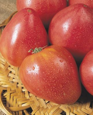 Воловье сердце помидор - сорт салата с красивыми плодами
