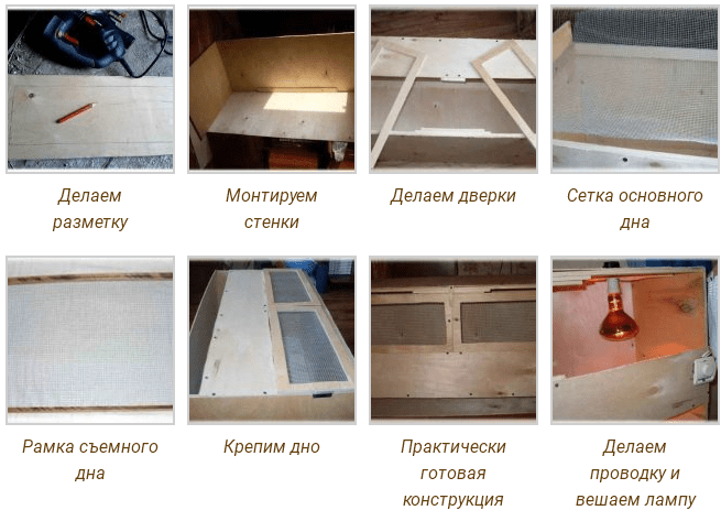 Перепелятник своими руками чертежи