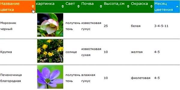 Время цветения - Календарь садовых растений