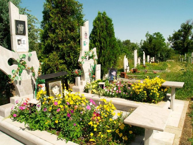 Выбор неприхотливых многолетних цветов для посадки на кладбище