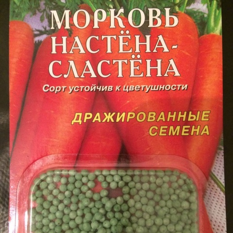 Выращиваем морковь в Сибири