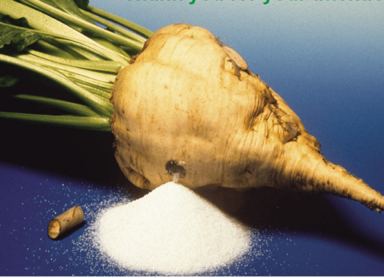 Сахарная свекла: от посева до уборки урожая