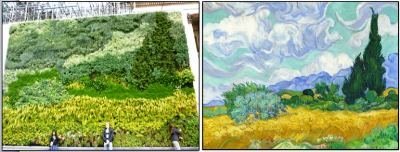 Живые образы в вертикальном озеленении: правила выбора растений и технология посадки