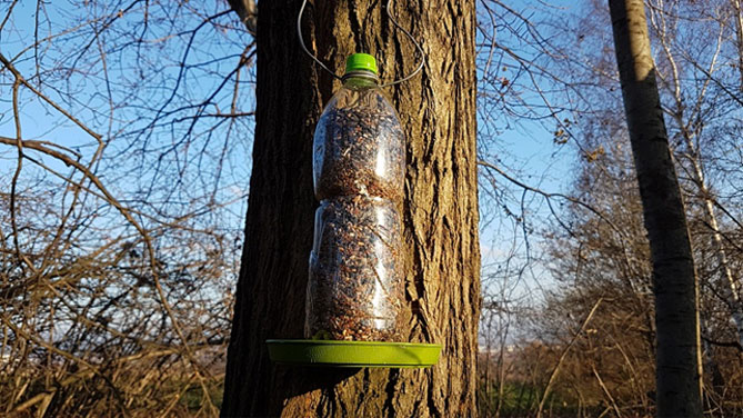 Как сделать кормушку для птиц из: фанеры, дерева, пластиковой бутылки, OSB, подручных материалов