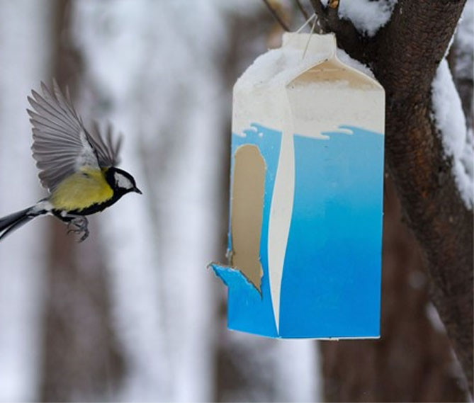 Как сделать кормушку для птиц из: фанеры, дерева, пластиковой бутылки, OSB, подручных материалов
