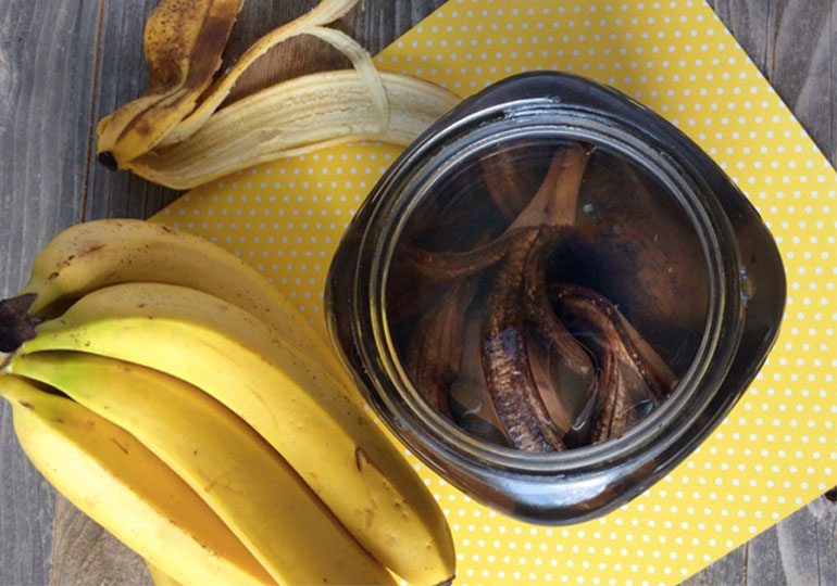 Банановая кожура как удобрение для комнатных растений и садов