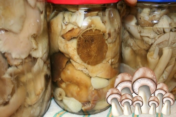 12 пошаговых рецептов маринованных белых грибов на зиму в банках