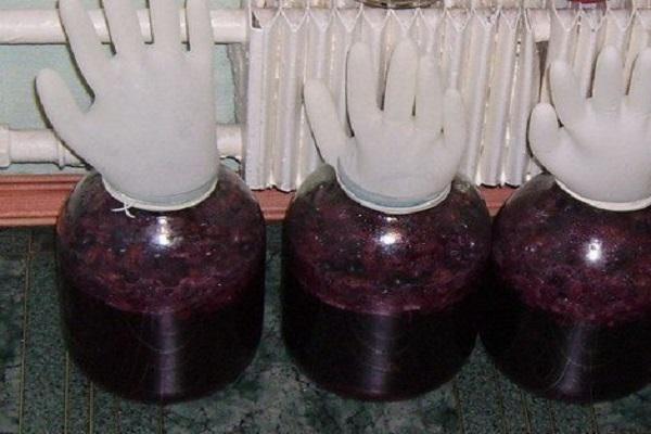 4 простых рецепта приготовления фруктового вина в домашних условиях