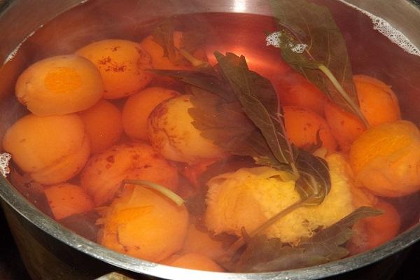 7 пошаговых рецептов приготовления компота из базилика на зиму