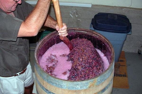 8 простых рецептов приготовления вина из винограда в домашних условиях