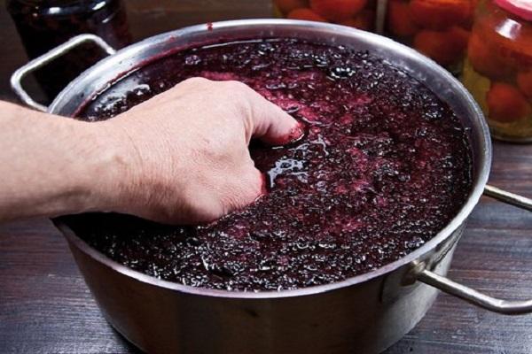 9 простых рецептов приготовления вина из калины в домашних условиях