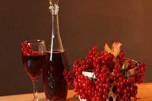 9 простых рецептов приготовления вина из калины в домашних условиях