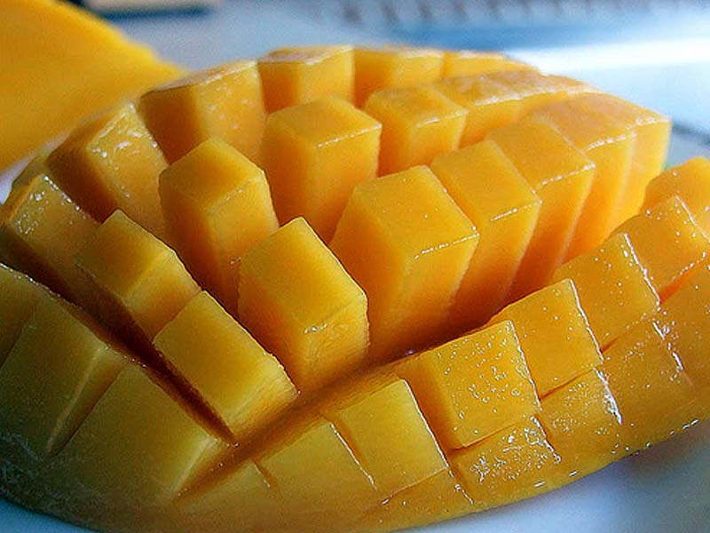 Душистое манго в домашних условиях: как растет, в чем особенности ухода и выращивания?