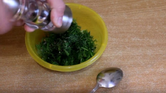 Осиновая грудка: фото, описание и приготовление - как солить и готовить + Видео