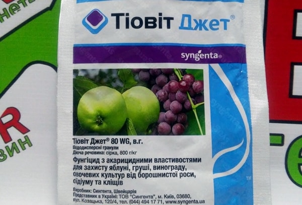 Инструкция по применению препарата «Тиовит Джет» для лечения винограда, сроки ожидания и дозы