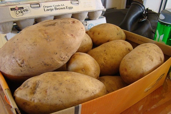 Как и где хранить картошку дома в квартире