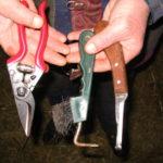 Как обрезать копыта козе в домашних условиях и инструменты