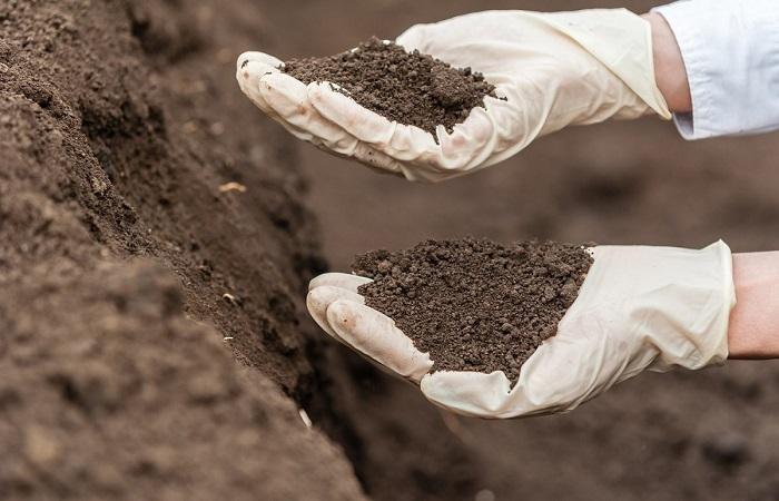Как узнать какая почва на вашем участке - проверьте ее тип и состав и кислотность