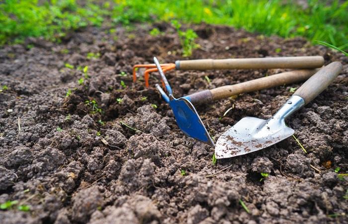 Как узнать какая почва на вашем участке - проверьте ее тип и состав и кислотность