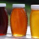 Какой мед лучше и полезнее - темный или светлый сорта, их отличия