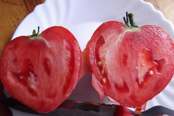 Лучшие сорта томатов для Забайкалья, как и когда сажать на рассаду и выращивать
