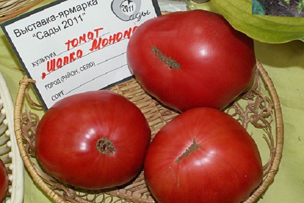 Лучшие сорта семян самоопыляемых томатов для теплиц и открытого грунта