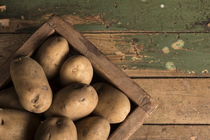 Особенности хранения картофеля: при какой температуре он замерзает