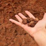 Отличие песчаного грунта от глинистого, их характеристики и какой грунт выбрать