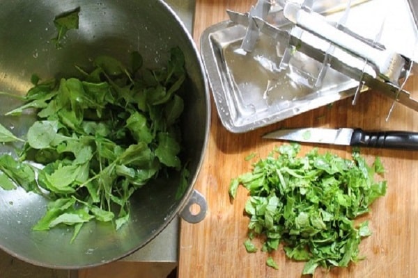 Правила заготовки рукколы на зиму в домашних условиях и советы по хранению зелени в морозилке и холодильнике