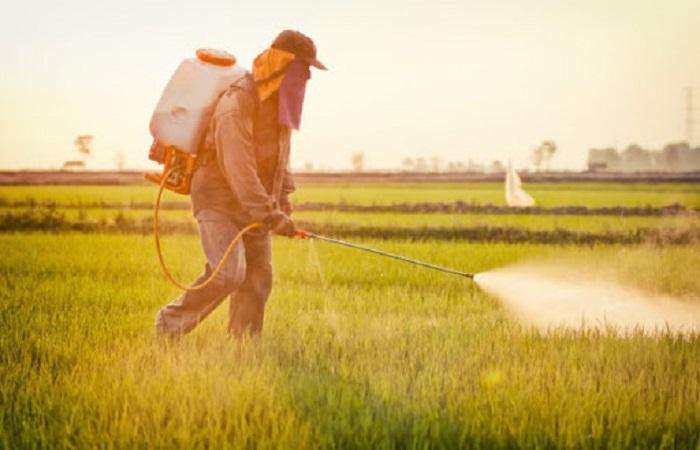 Применение пыли и формула химиката, как пестицид влияет на человека