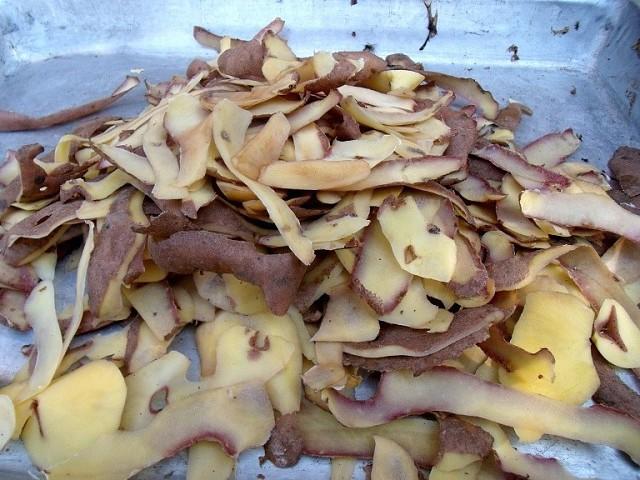 Использование картофельных очистков для смородины в качестве удобрения