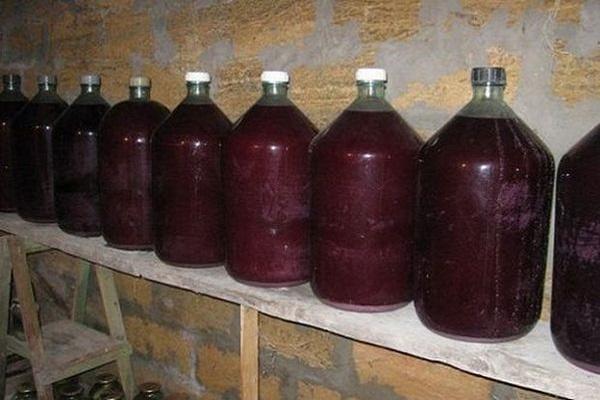 Простой пошаговый рецепт, как сделать вино из свежего синего винограда в домашних условиях