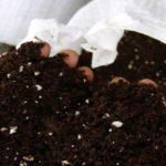 Оценка лучшей почвы для рассады и как выбрать лучшую по качеству
