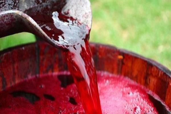 Сколько бродит вино в домашних условиях, время и особенности процесса