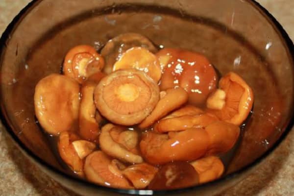 ТОП-10 рецептов, как можно просто засолить грибы в домашних условиях, горячим и холодным способом