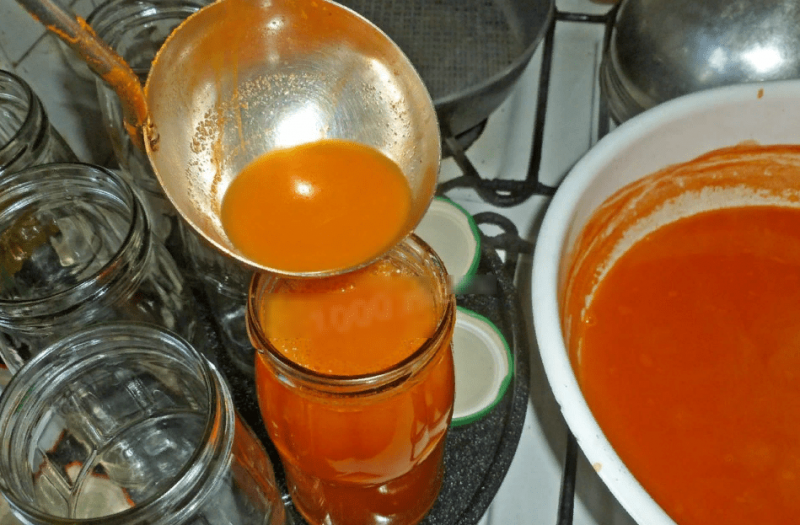 ТОП-10 рецептов приготовления апельсинового сока на зиму в домашних условиях