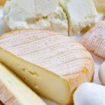 Топ-4 вида и названия сыров из овечьего молока, польза и вред для организма