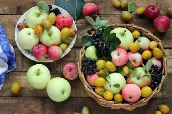 ТОП-7 рецептов приготовления яблочно-сливового варенья на зиму