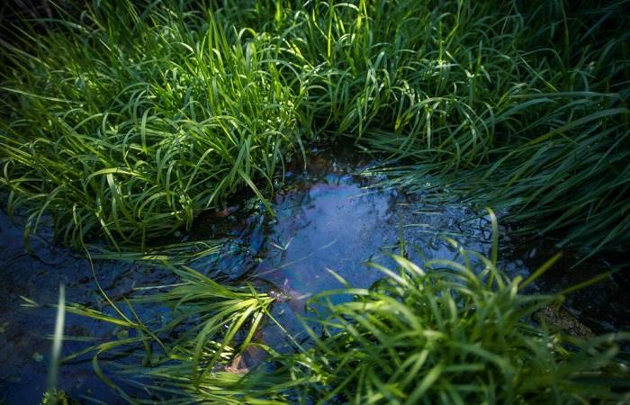Виды и свойства воды в почве, как понизить и поднять уровень