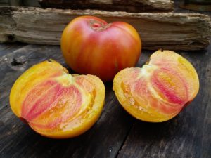 Медовый салат из помидоров: характеристика и описание сорта